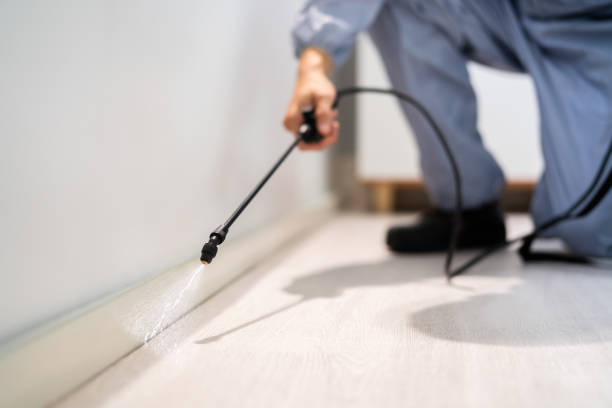 Licensed Fumigation Services service in Avenel, NJ - Nex Pest Control