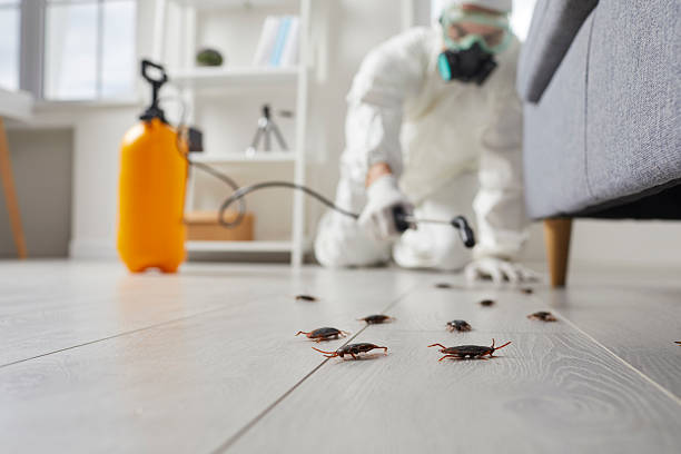 Trusted Termite Control service in Avenel, NJ - Nex Pest Control