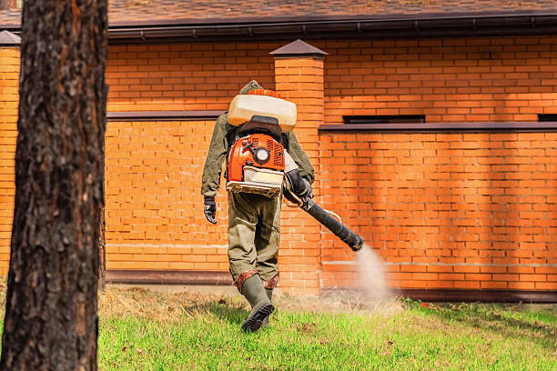 Trusted Cockroach Control service in Avenel, NJ - Nex Pest Control